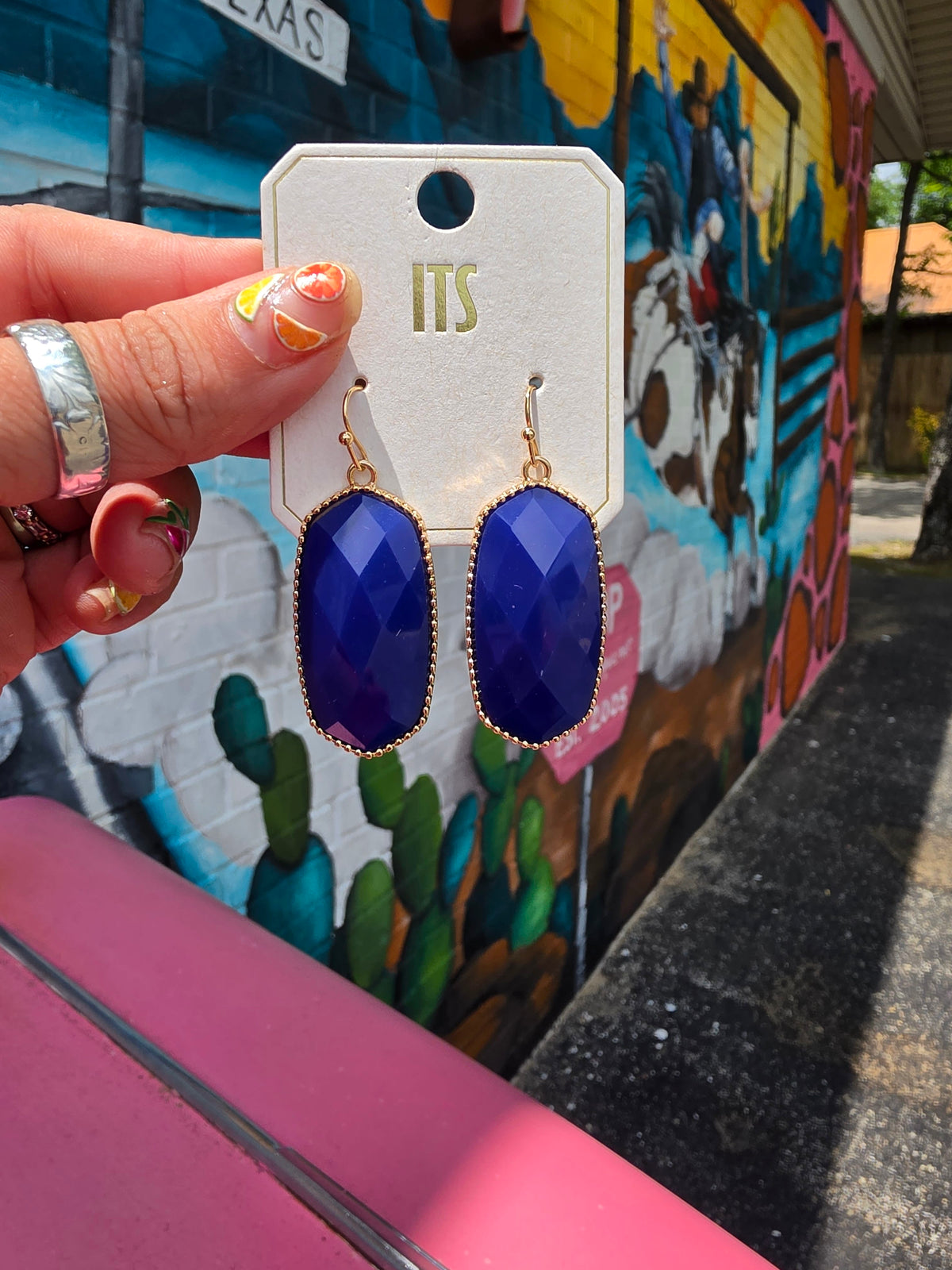 Wild Horse Boutique Earrings Summer Earrings