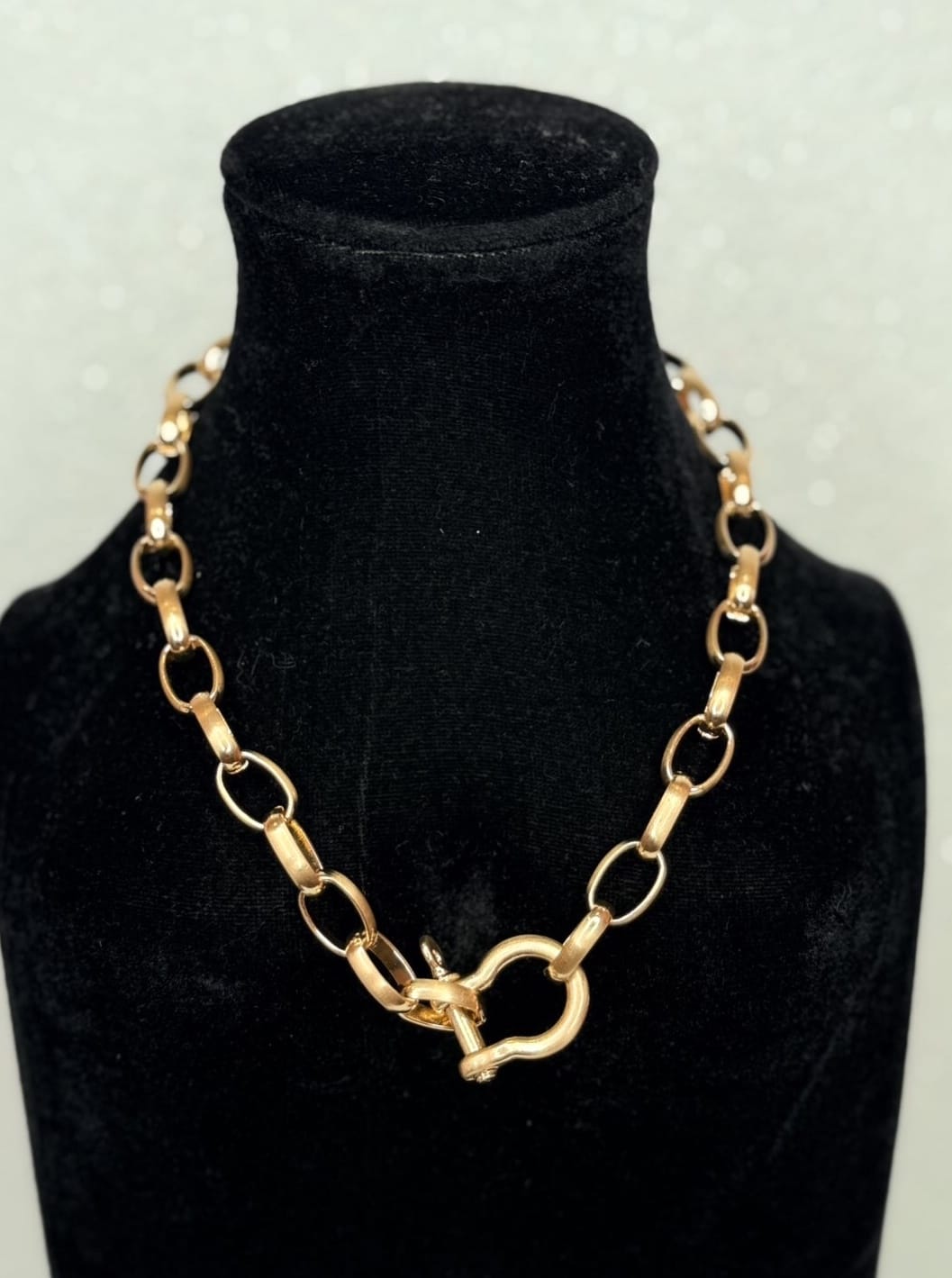 Wild Horse Boutique Gold Bridle Necklace