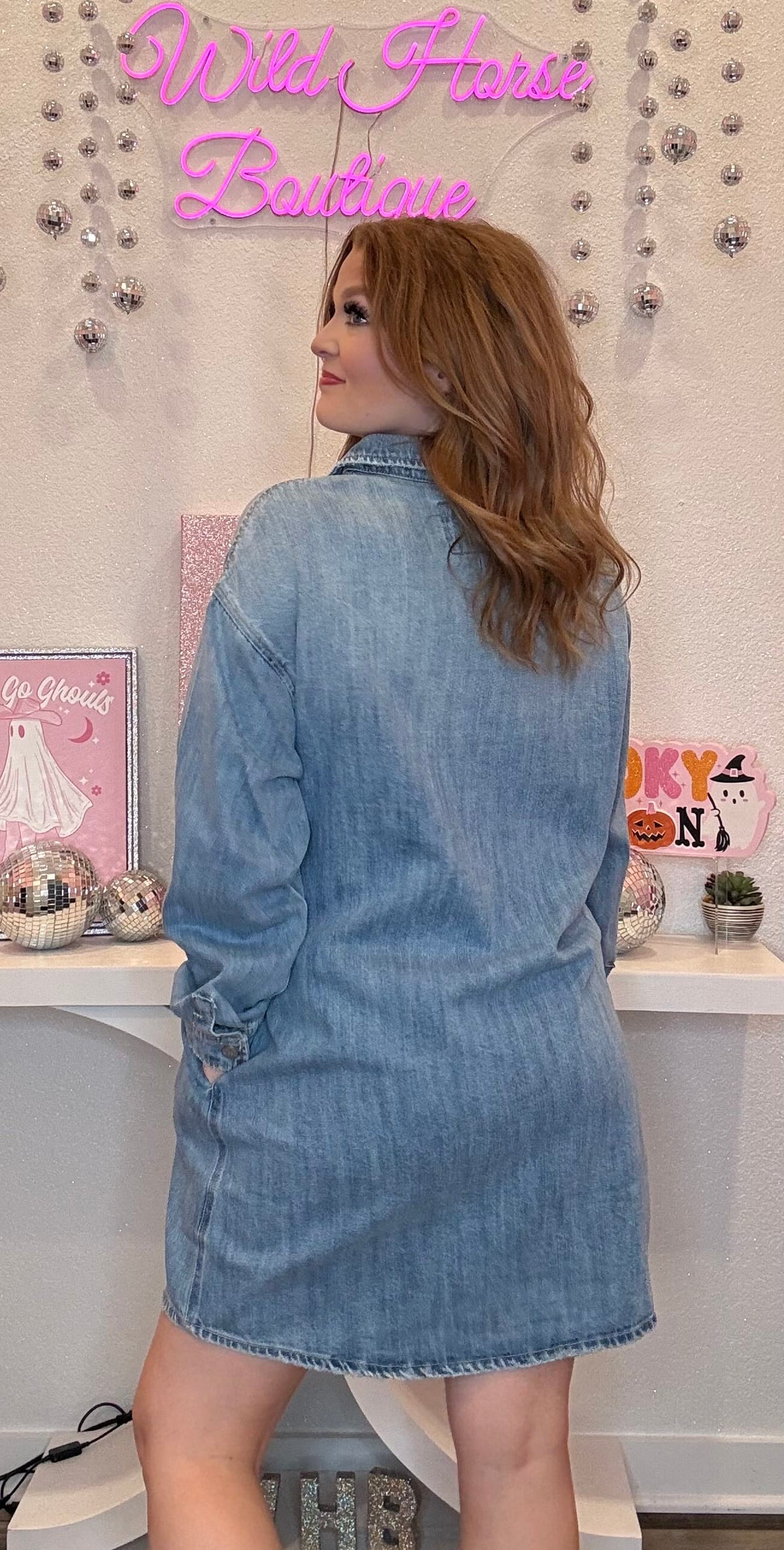 Wild Horse Boutique Long Sleeve Denim Dress