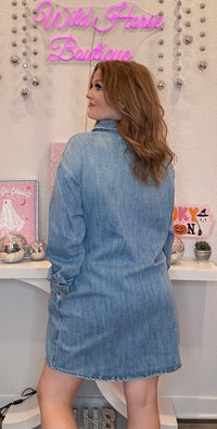 Wild Horse Boutique Long Sleeve Denim Dress