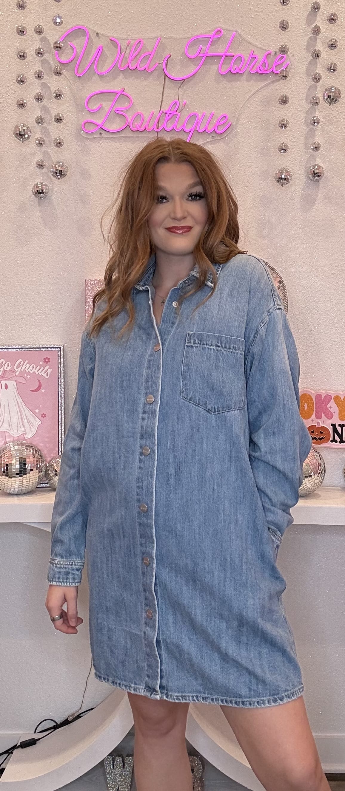 Wild Horse Boutique Long Sleeve Denim Dress